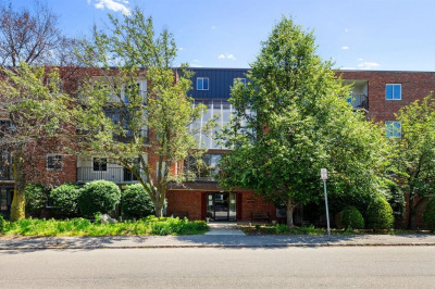 64 Willard Street #303 1