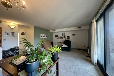 49 Marion Street #8A 1
