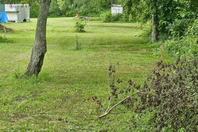 280 Bridge St Lot 3 1