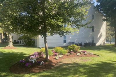 18 Walden Dr #6 1