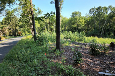 Lot 6 Cold Hill Rd 1