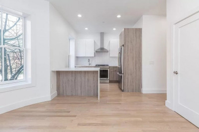 55 E Springfield St #4