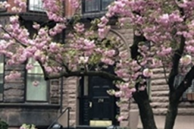 258 Marlborough #2R 1