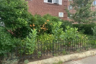 219 Mass Ave 1
