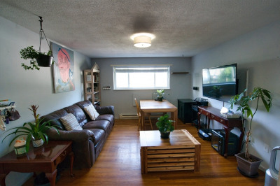 183 Mt. Auburn St. #46