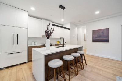 118 Spring St. #1 1