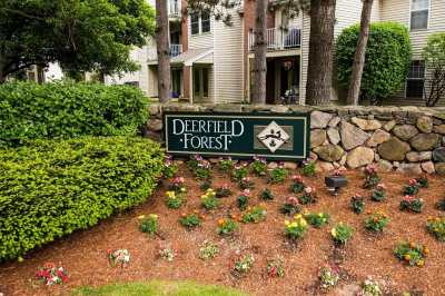 6 Walden Drive #2 1