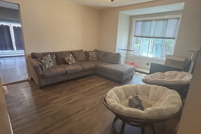 101 Bradford #1 1