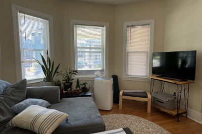 85 Raymond Ave #1