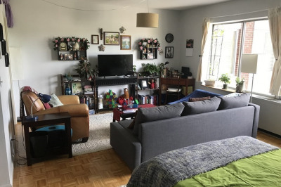 22 Chestnut Place #409 1