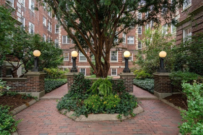 43 Linnaean Street #45 1