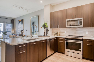 60 Locust St #268 1