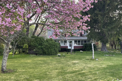 241 Fisher St 1