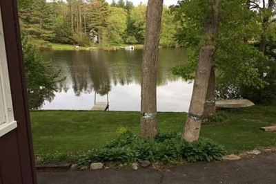 114 Westwood Dr 1