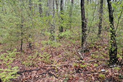 48 Mill Rd Lot 2e 1