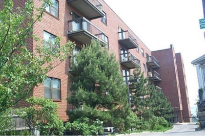 12 Chancery Ct #205 1