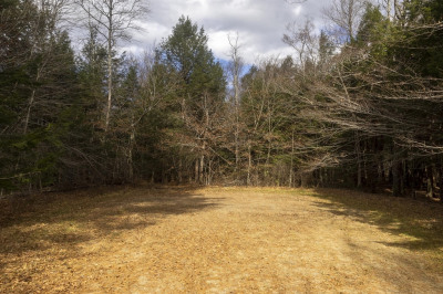 0 Pickerel Close Rd