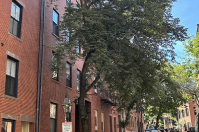 59 W Cedar Street #6 1