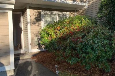 802 Pine Brook Dr #802 1