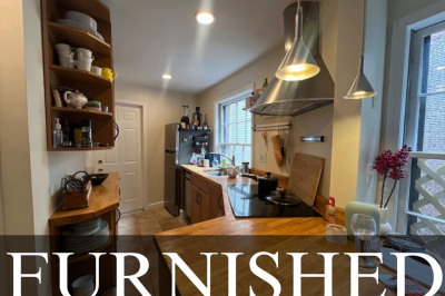61 W Cedar Street #FURNISHED 1