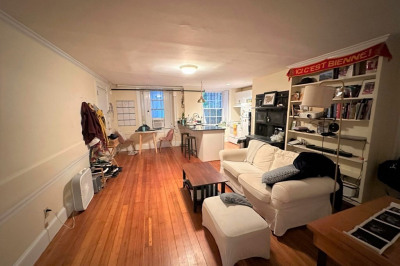 26 Chestnut #BF