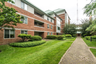 173 Oak #208W 1