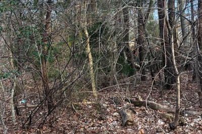 38 Dunns Pond Rd 1