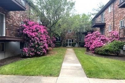 21 Westgate Rd #1 1