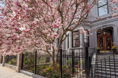 168 Beacon St #1 1