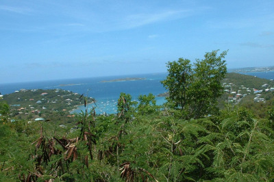 3b-66 Sans Soucci & Guinea Gut 1