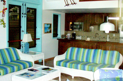 3aa-2,4,9 Cruz Bay Town #14D 1