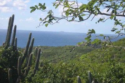 7 Concordia 1
