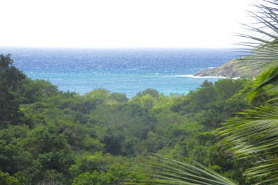 U Fish Bay 1