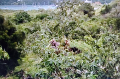 2-5-4 Eden 1