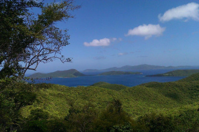 5i Leinster Bay 1