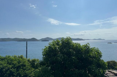 5b Freemans Ground 1