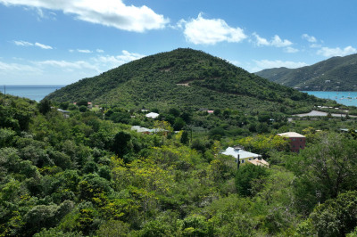2-7-b Eden 1