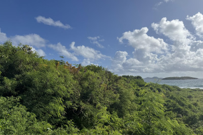 14-ia-2 John's Folly 1