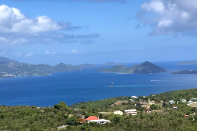 4-77 Sans Soucci & Guinea Gut 1