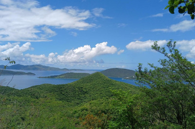 5-i Leinster Bay 1