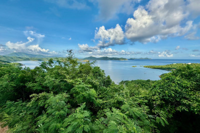 28 Freemans Ground 1