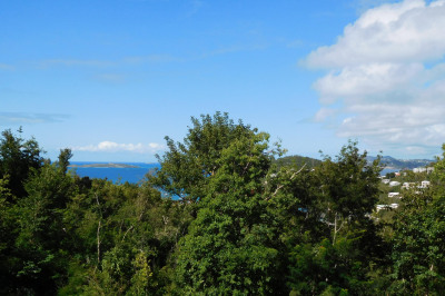 3b-32 Sans Soucci & Guinea Gut 1