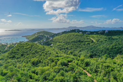 3b-1 Et Al Sans Soucci & Guinea Gut 1