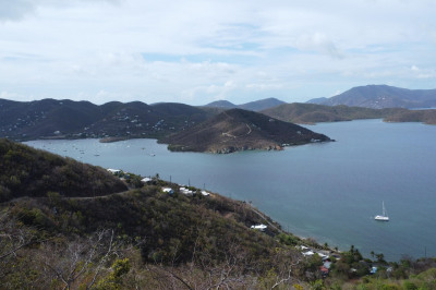 28-5 Calabash Boom 1