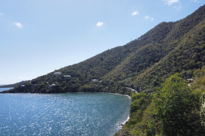 4b-2, 4b-a Little Plantation 1