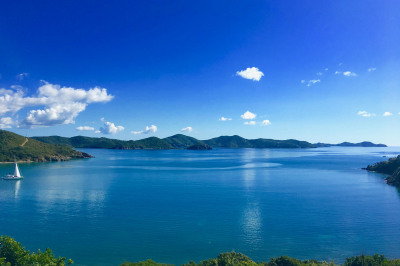 2a,21a&21b Saunders Gut 1