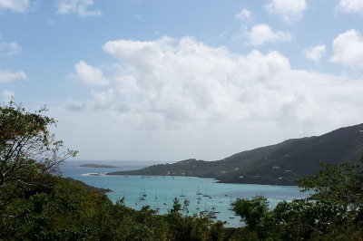 6-3-136 & Carolina 1