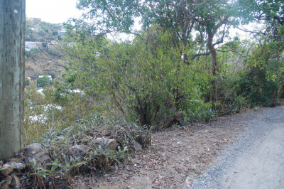 173a-47 Anna's Retreat New 1