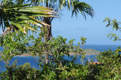 17-8a St. Peter Lns 1