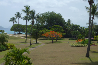 D-25 Smith Bay Rh 1